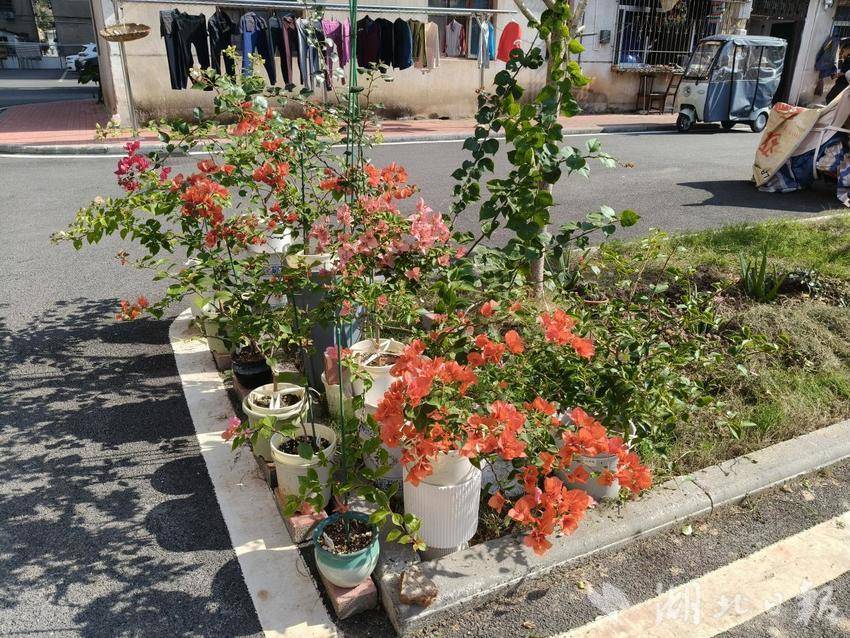 鱼岳镇北街社区磨盘路小区升级改造更宜居.docx