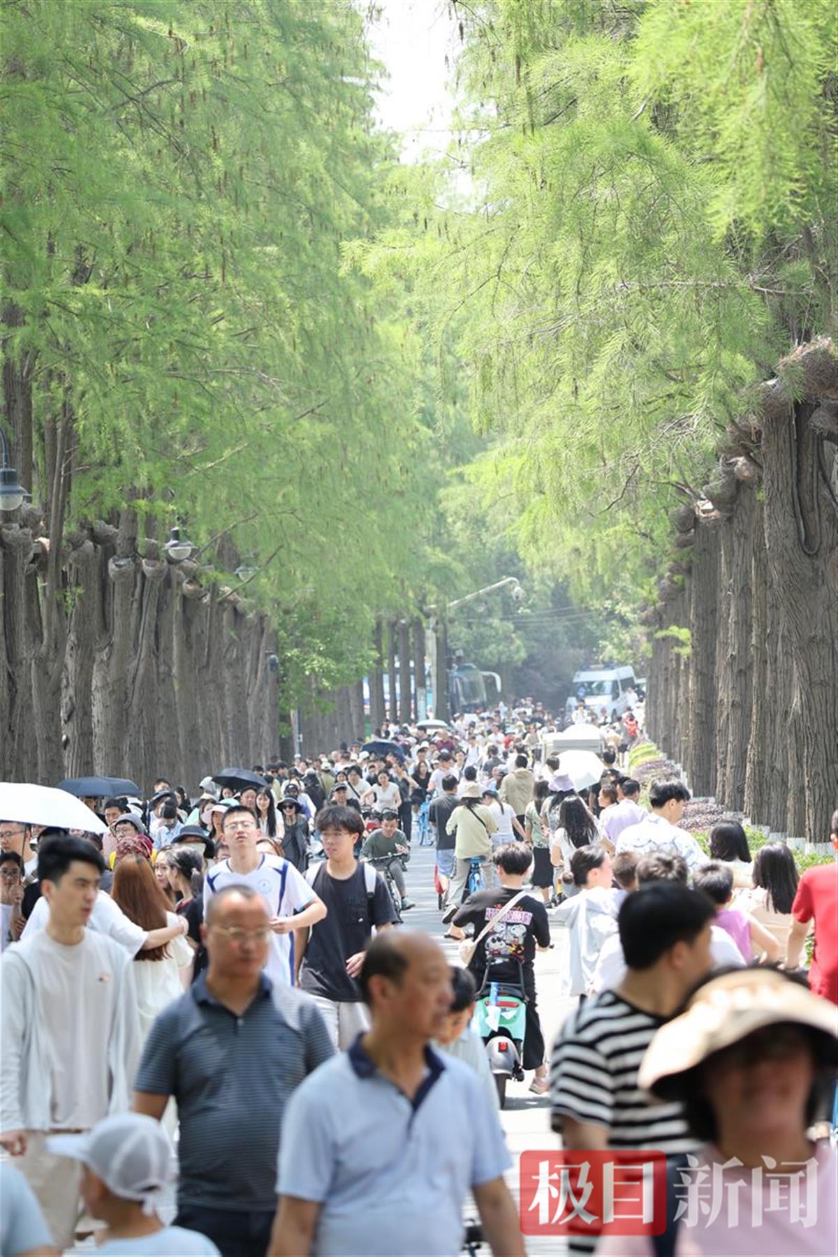 微信图片_20250503095439.jpg