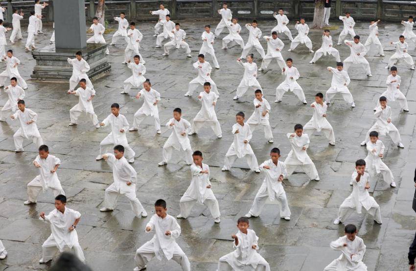 太极为媒 对话世界.docx
