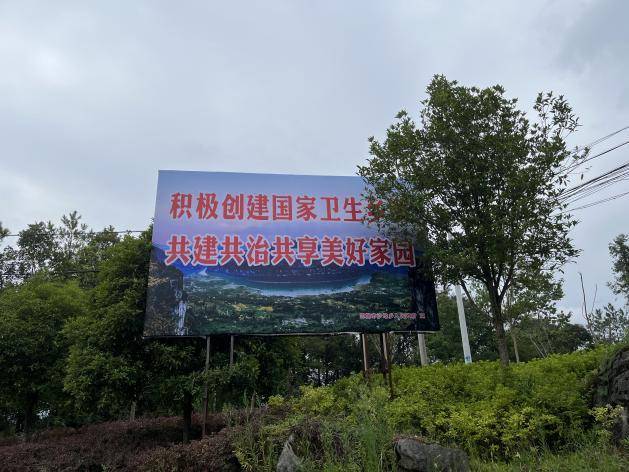 恩施市公共卫生服务综述.docx
