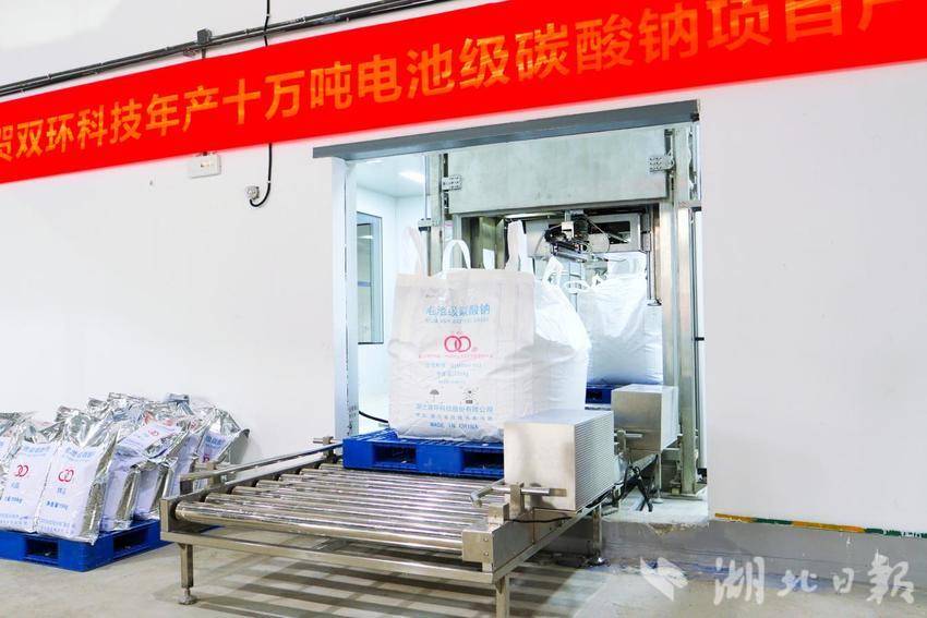 【图文】国内首创 双环科技年产10万吨电池级碳酸钠正式投产.docx