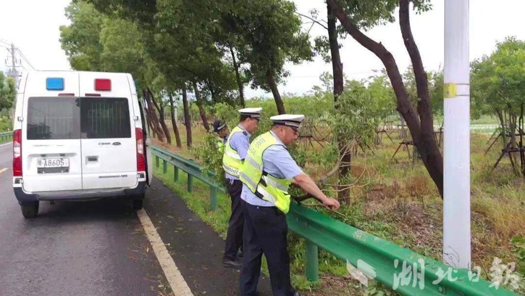 早8点40分，民警李俊峰，带领辅警丁建权、刘光启、沿油沙路巡逻至西湖收费站位置，发现有较多断裂的树枝，对其及时清理、消除隐患。