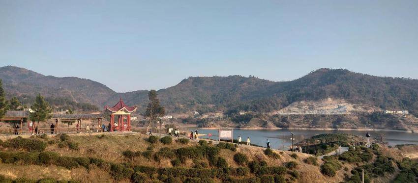 发展旅游助振兴.docx