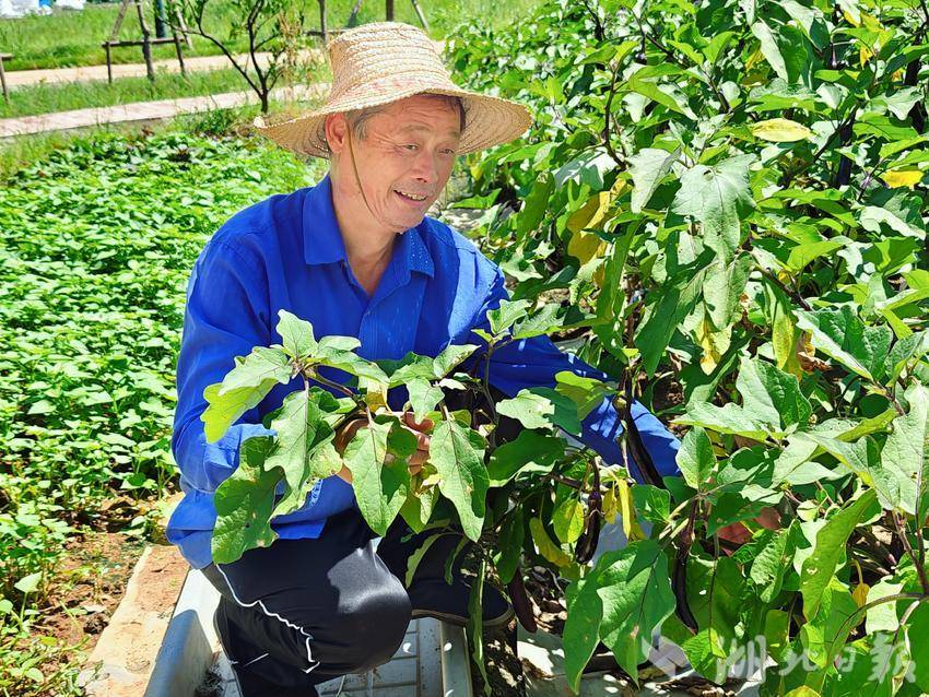 湖北精耕怎么样湖北交投京珠运营公司：精耕庭院方寸天地 青绿晕染美丽京珠_https://www.jmylbn.com_新闻资讯_第2张