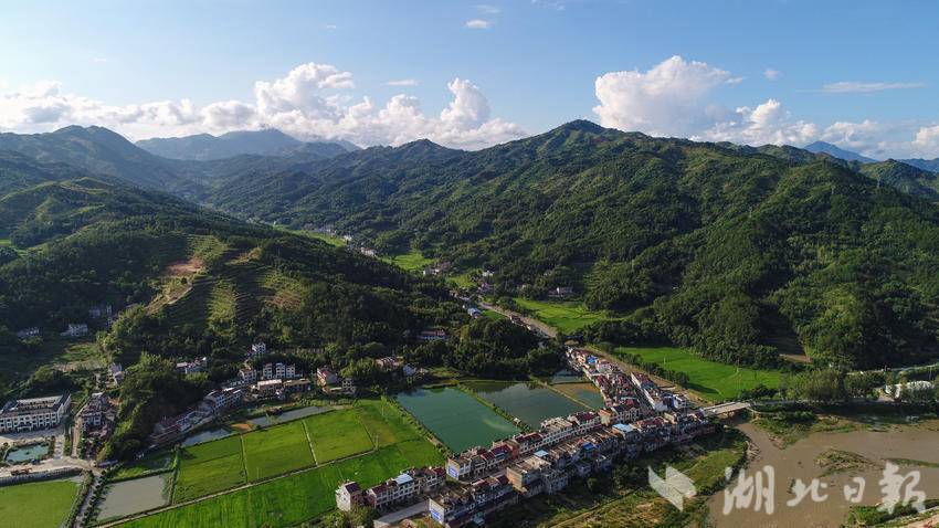 张塝镇下车门村：创新“六维”常态化管护 绘就和美乡村新画卷.doc