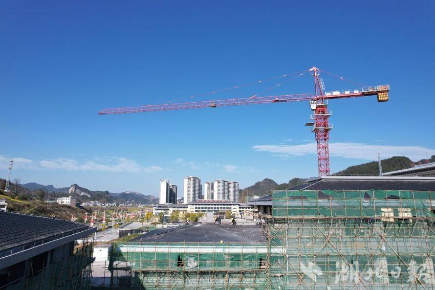 3月13日，咸丰县曲江镇“三茶”融合产业园建设正酣。（通讯员 舒 淑 摄）.JPG