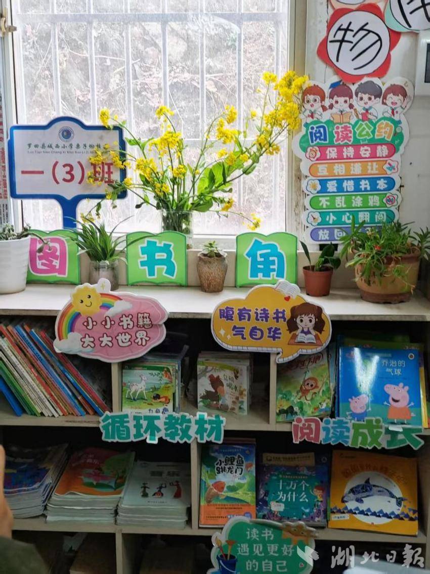 罗田县城西小学栗子坳校区开展“最美图书角”评比活动.docx