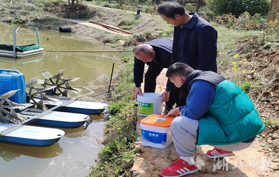 淡水水产养殖行业的蓬勃生机与未来挑战
