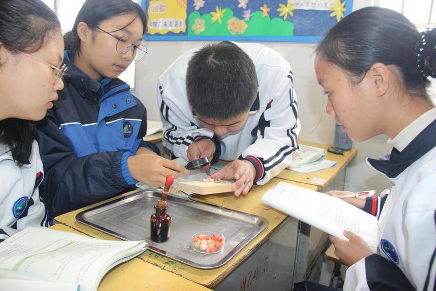 01 汉江师范学院前往武当山中学开展见习交流活动(1)(1).docx
