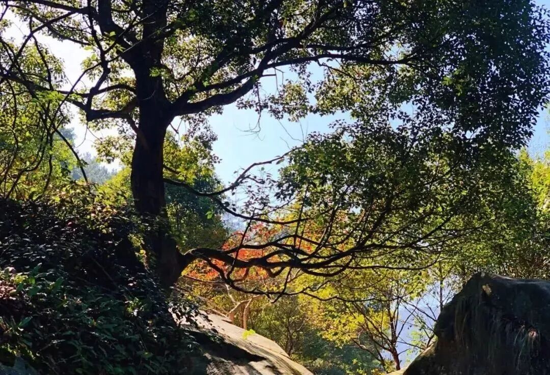 烟波2.jpg