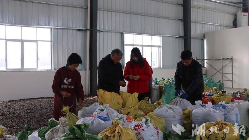蕲春县檀林镇槐天下山茶油深加工项目油茶籽车间