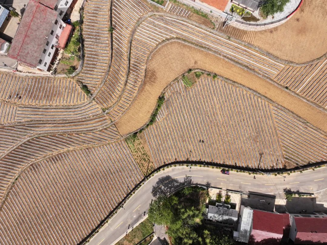DJI_20250509134404_0109_D.JPG