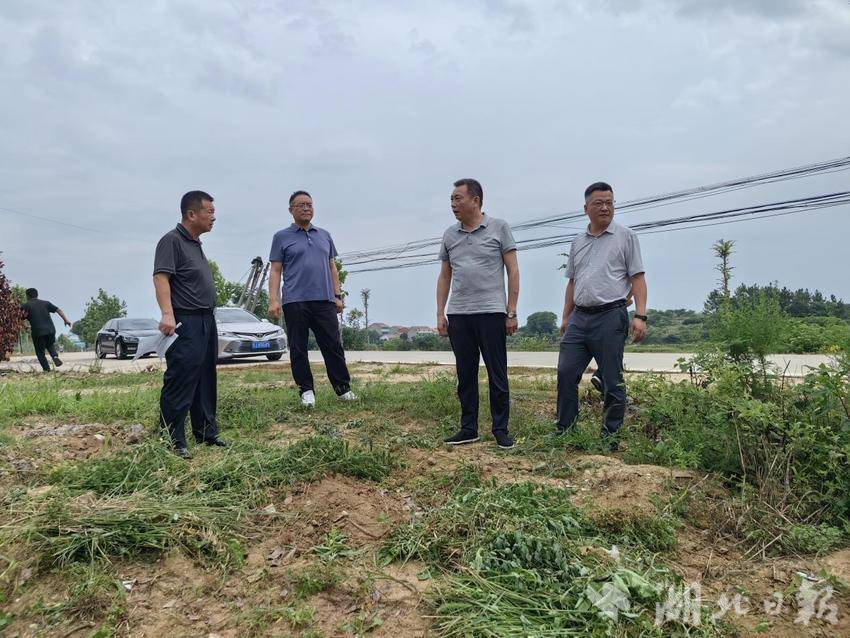 假期不停工 一线强督导 实干争先保发展.docx