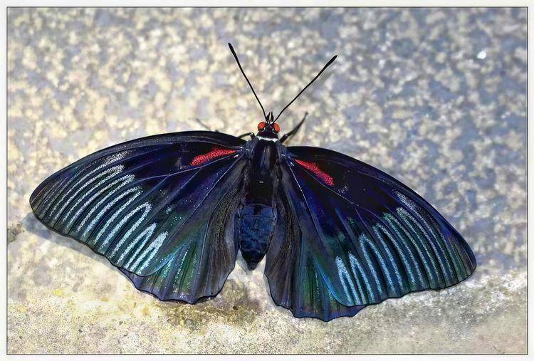 北緯31秘境檔案黑美20251216090346.docx