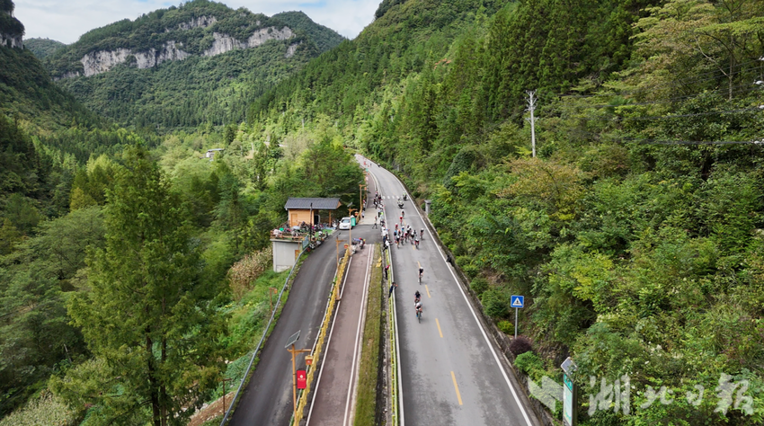 利川腾龙洞旅游公路：从“交通线”到“生态经济链”的实践之路（利川市农路）.docx