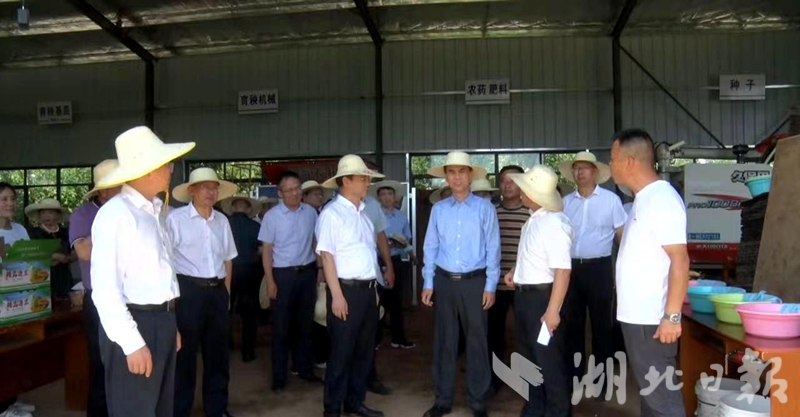 在随州市委书记钱远坤,随州市政府副市长徐锋,广水市委书记杨光胜