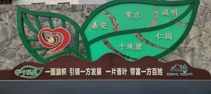 五峰民贸企业积极践行“融”的导向，推动民族地区经济高质量发展.docx