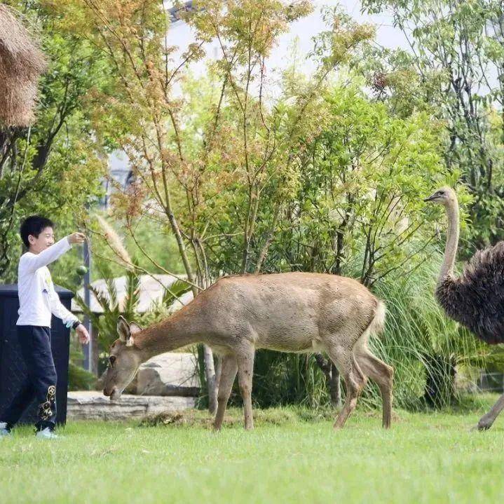 “郷伴慈惠”给春天来点灵感.docx