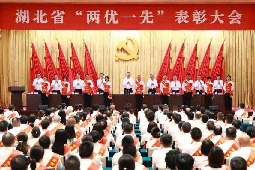 中南电力党委荣获湖北省先进基层党组织称号(1).docx