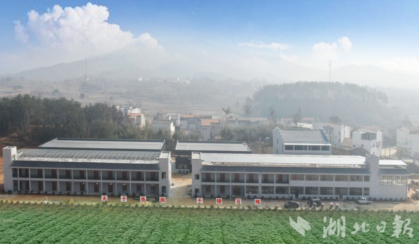 3（陈珏）红色铸魂 产业强基 电商活村.docx