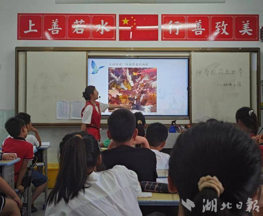 暑假学堂”爱心托管班“-光合育苗：呵护每颗“好奇心”种子，生命之光在行动.docx