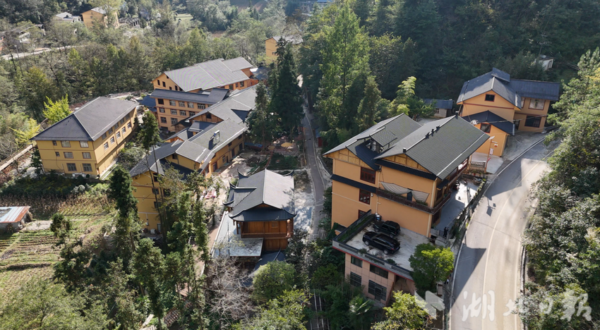 利川腾龙洞旅游公路：从“交通线”到“生态经济链”的实践之路（利川市农路）.docx