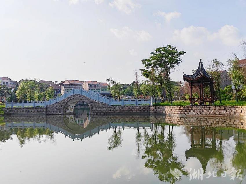 践行垃圾分类  绘就乡村绿色发展新画卷.docx