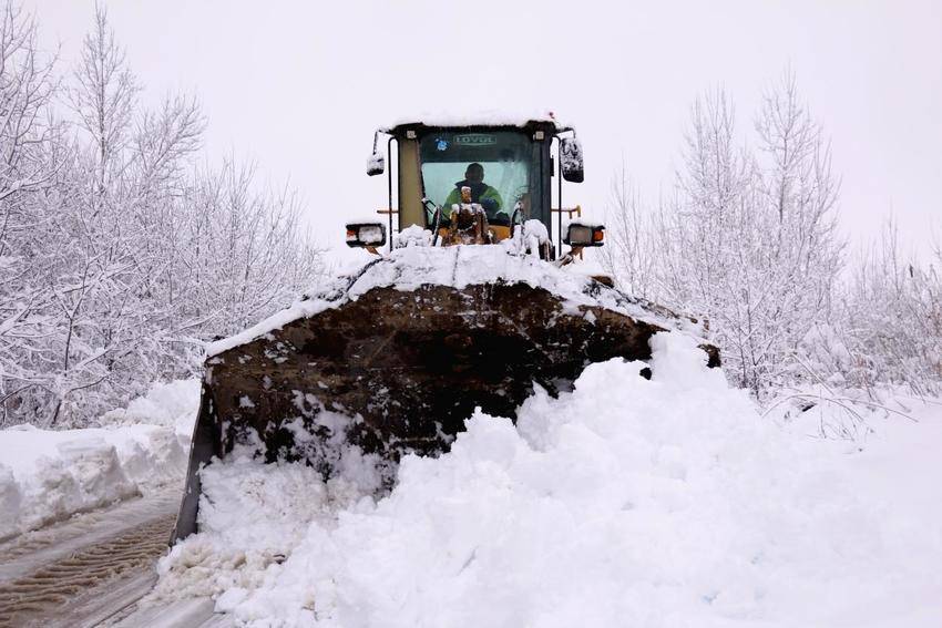 【一线传声】浴“雪”奋战保平安，紧急救助暖民心.docx