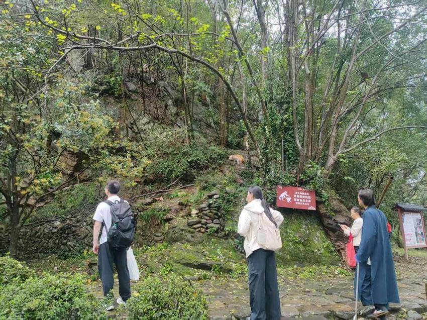 武当山逍遥谷(1).docx