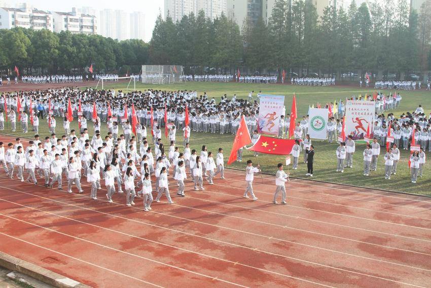 天门市陆羽高级中学推进教育教学高质量发展纪实.docx