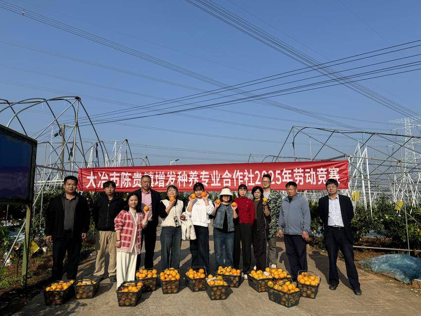 陈贵镇：果冻橙采摘技能赛成功举办.doc