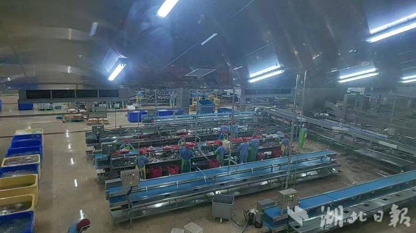 新理念、新模式、新产业——嘉鱼县水产养殖转型升级创新模式(2).docx