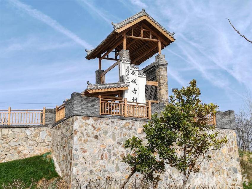 党建引领生态蝶变：武城村“唯爱小花园”绘就乡村振兴新图景.docx