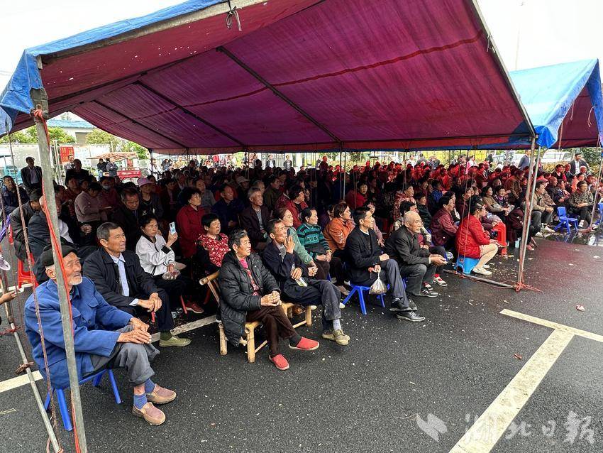 戏进村了!应城市天鹅镇江河村第二届戏曲文化节开幕 - 湖北日报新闻客户端