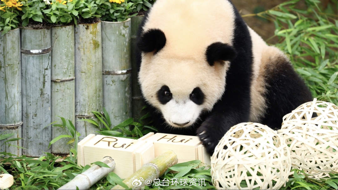 6.jpg?x-oss-process=style/w10