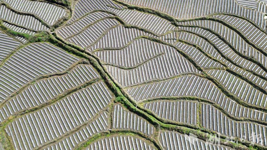 DJI_0144_副本.jpg
