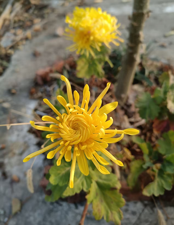 旧衣物里的念想.doc