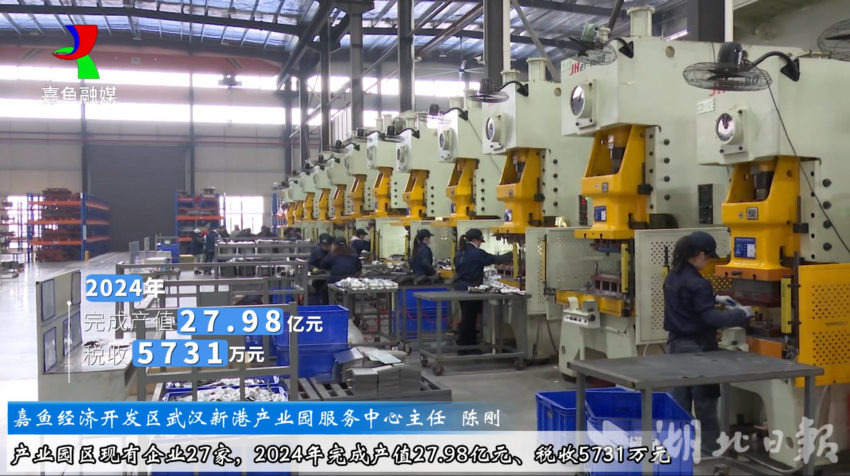 嘉鱼经济开发区武汉新港产业园服务中心主任陈刚.docx