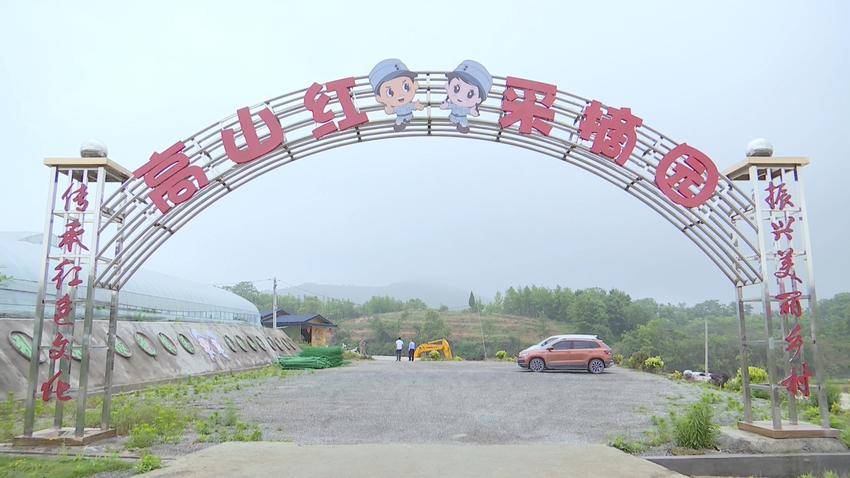 蕲春县漕河镇高山红采摘园