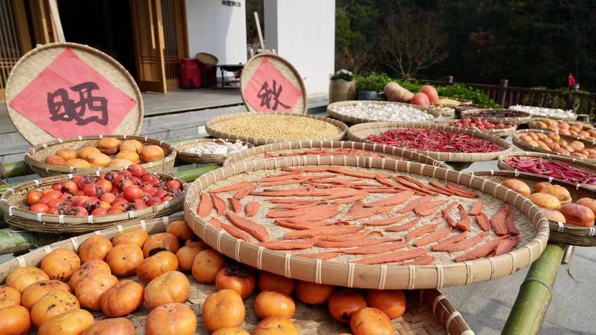 九堰一居晒秋.doc