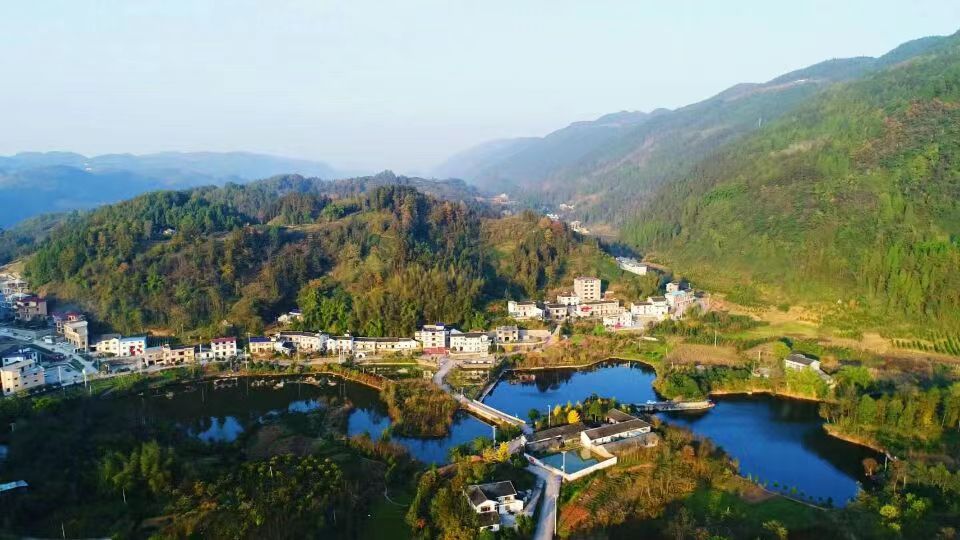 莲花池村航拍图