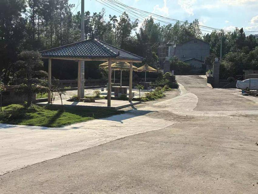 干群携手齐动手 村容旧貌焕新颜（两道村）.docx