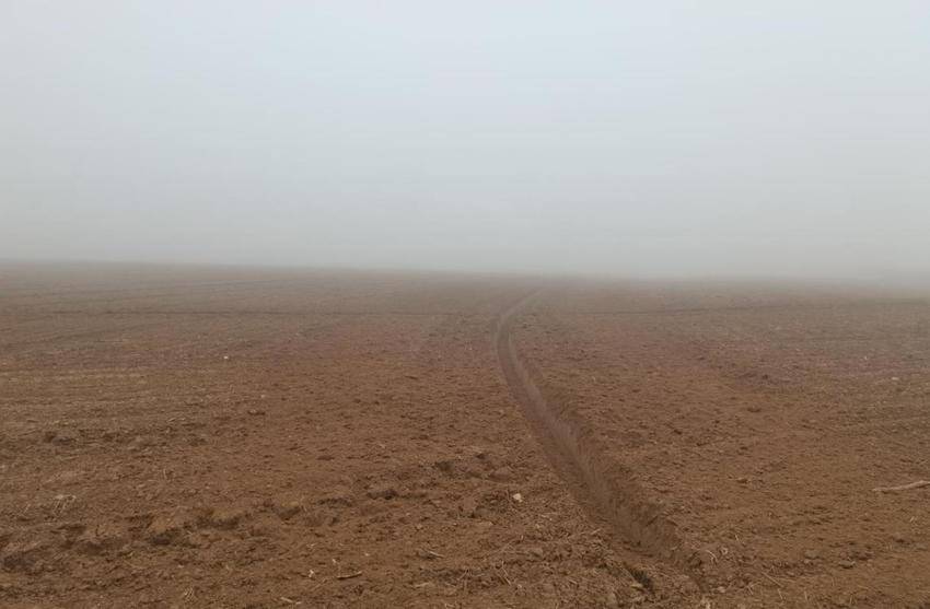 安陆市巡店镇抢晴封闭除草护航麦苗生长.docx