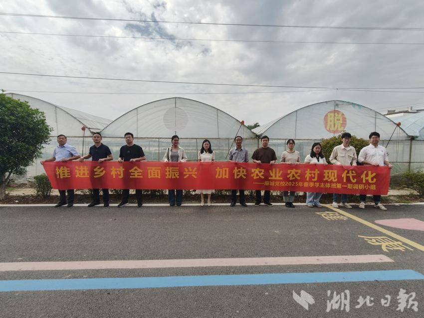 2025年麻城市委党校第一期主体班学员到宋埠镇开展推进乡村振兴与农业农村现代化专题调研新闻报道.docx