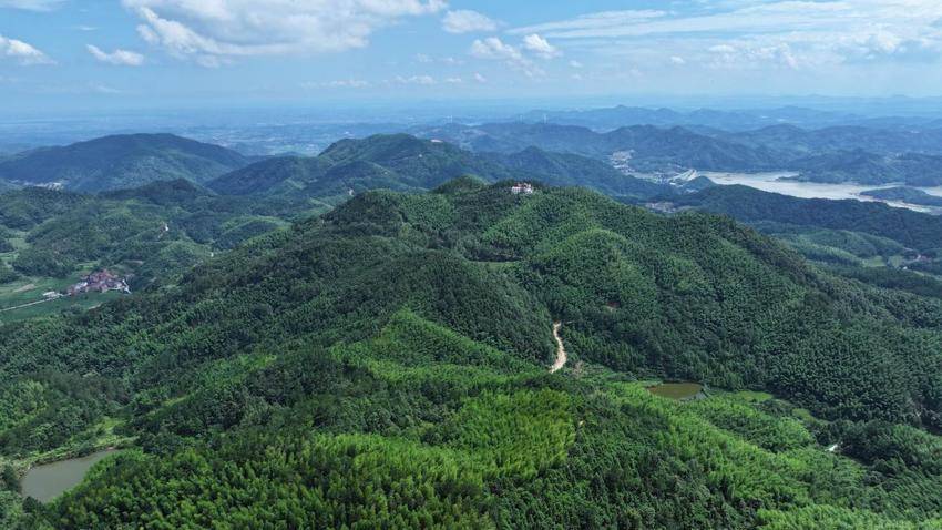 揭秘《西游记》“花果山”原型——武穴太平山( 图文).docx