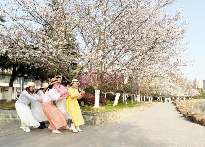 这条“樱花大道”，才是天门春日的“浪漫顶流”!.docx