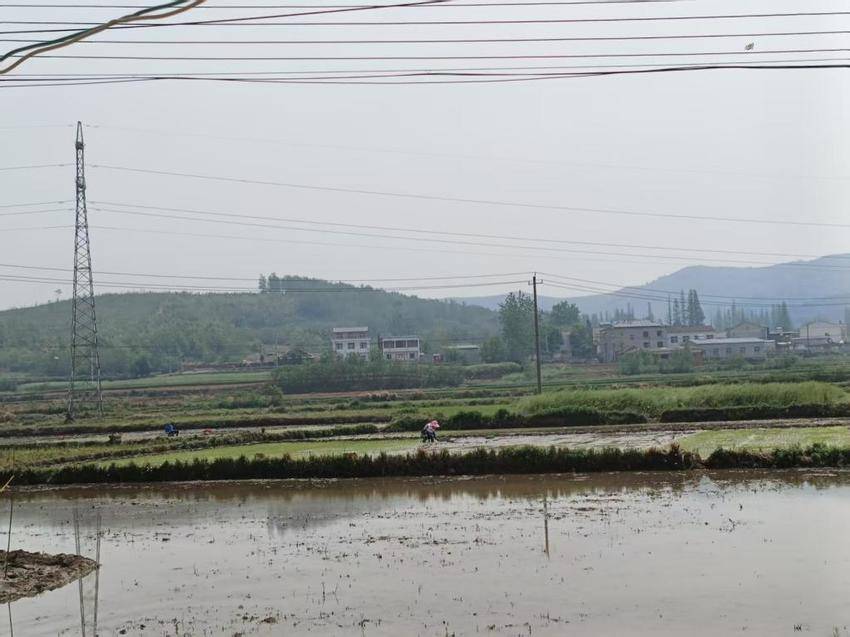 尹集乡肖冲村：春耕备耕忙 育苗绘丰年.docx