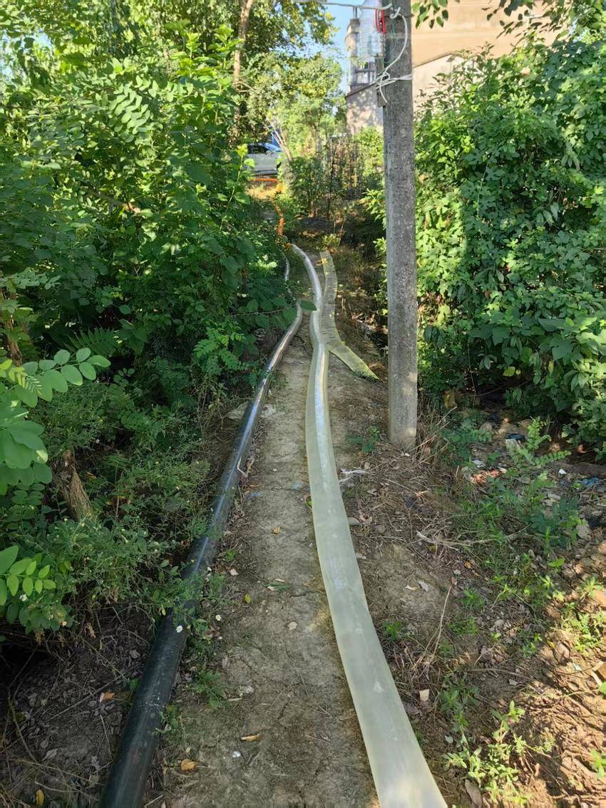 抗大旱、保民生！孝南以“水文章”守护田间希望(2).docx