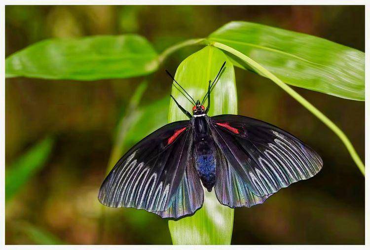 北緯31秘境檔案黑美20251216090346.docx