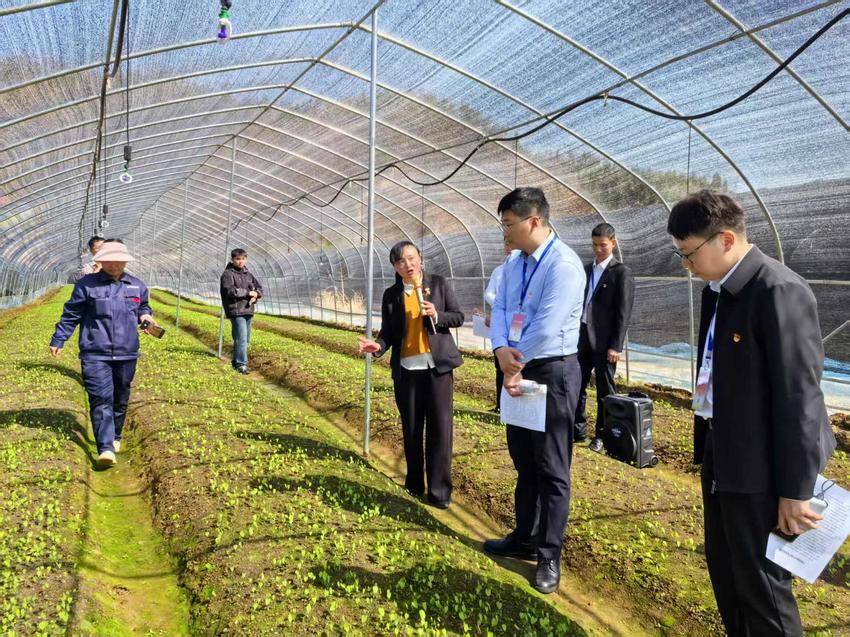 实地观摩强担当 实干笃行谱新篇.doc